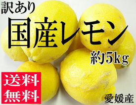 【送料無料】訳あり国産レモン5kg【愛媛県産】低農薬/国産/レモン/安心【smtb-kd】