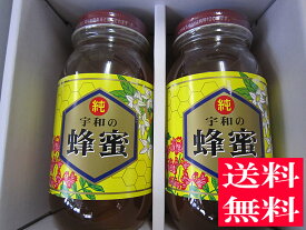 【ギフト】【送料無料 はちみつ セット】生はちみつ 非加熱 純粋百花蜂蜜1kg×2本セット【お中元】【お歳暮】【宇和養蜂】【国産】【愛媛産】【smtb-kd】