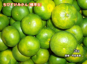 【人気】【オススメ】愛媛みかん 小玉 みかん 吉田みかん【送料無料】訳あり極早生ちびすけみかん3kg【smtb-KD】