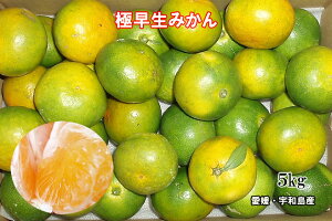 yIXXzyzQ ݂ gc݂yz󂠂ɑ݂5kgysmtb-KDz