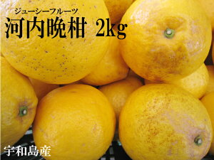 �y�l�C�z�y���������z�y���������z�󂠂�͓��ӊ���2kg�y���Q�Y�z�ysmtb-KD�z
