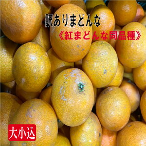 yz󂠂܂ǂ5kg Q݂ysmtb-kdz