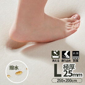 【先着9％OFF！4時間限定】【値下げ】ラグ はっ水 ラグマット 極厚25mm 抗菌防臭 200×250cm カーペット 厚手 滑り止め 洗える 角型 撥水 床暖房 ホットカーペット おしゃれ 防カビ 防ダニ オールシーズン マイクロファイバー リビング