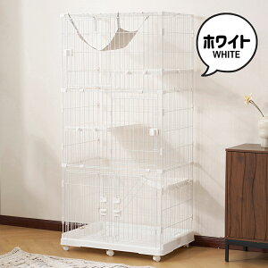 308N[|IydlAbvf[gJhAozL P[W LbgP[W 3i  1i2i\ LX^[t ^ LP[W ybgP[W P[W ybgp LbgnE