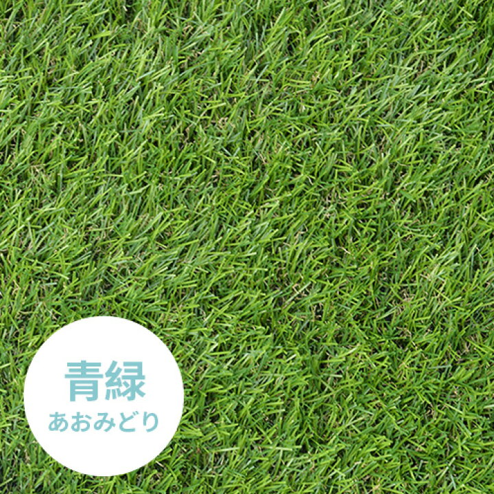楽天市場】先着50名様☆7％クーポン！人工芝 ロール 2m×10m 芝丈20mm 