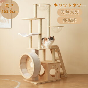 505N[|Lbg^[ ؐ Kit FD B ^ @u   Lbg^[ ؐ ^ R ܂Ƃ Lxbh SS ybgpi ^L 