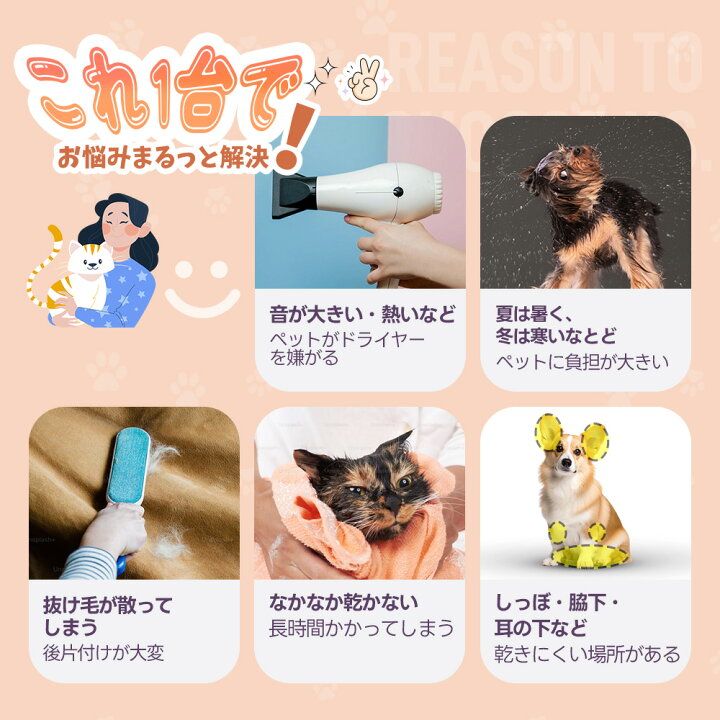 楽天市場】24時まで☆全品7%OFFクーポン!【雑誌ananに掲載】ペット  