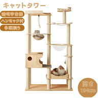 日曜日10％クーポン★キャットタワー 超大型 木製 透明宇宙船 隠れ家 据え置き 頑丈 おしゃれ キャットタ…