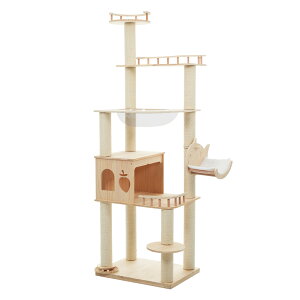 Lbg^[ u FD ؐ B ^   Lbg^[ ؐ ^ R ܂Ƃ Lxbh SS ybgpi ^L qL  VjAL ^s