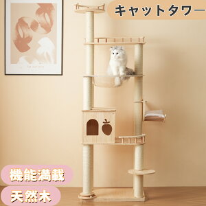 Lbg^[ u FD ؐ B ^   Lbg^[ ؐ ^ R ܂Ƃ Lxbh SS ybgpi ^L qL  VjAL ^s