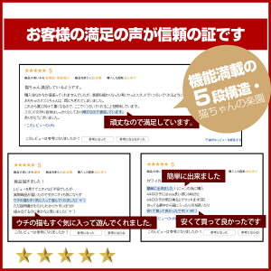 キャットタワー据え置き
