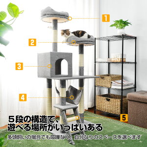 キャットタワー据え置き