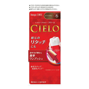 y򕔊Oiz sz[[t VG wAJ[EX N[ 6 _[NuE