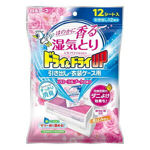 sA[Xt hChCUP oEߑP[Xp t[u[P̍ 12V[g