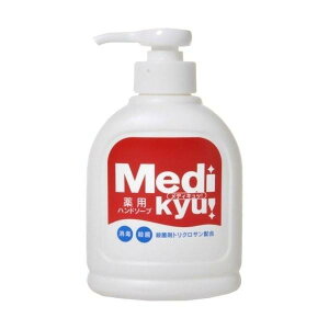 y򕔊OizsPbgΌt pnh\[vfBL { 250mL