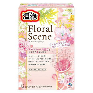 y򕔊OizsA[Xt A t[V[ 12