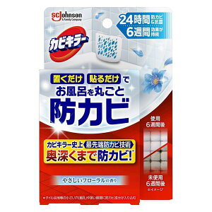 sW\t JrL[ CɒuhJrWF ₳t[̍ { 8mL