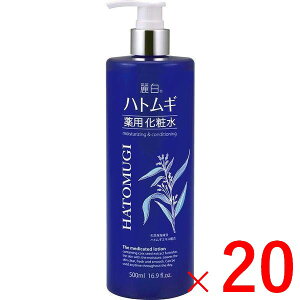 y򕔊OizsFt 픒 ngMpϐ 500mL×20