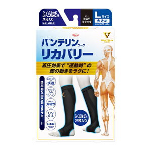 sat oeR[ Jo[ ӂ͂p 傫 LTCY(2)