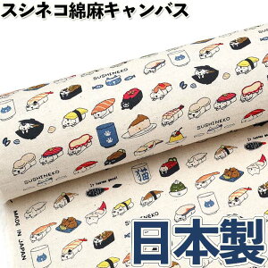 �y�Ȗ��L�����o�X:KTS-6601�z���i�l�R�􂷂��˂��@�R�b�g�����΂₵�y���[���։z�n���h���C�h/��|/���n/�ʉ�/�ʊw/�ɂ��/�X�V�l�R