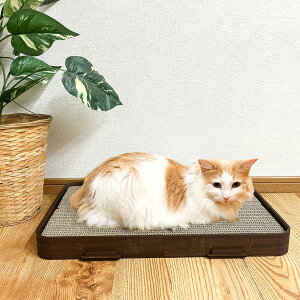 y2420`10ItN[|zzzLbg^[ 0.7 L^[ Lbgc[ L  Ǖt Vя ؐ ^s gݑւR ȃXy[X S݌v CeA I [ 