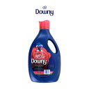 【お買い物マラソン期間ポイント32倍！】メキシコダウニー パッション 2.6L 1本 downy 柔軟剤 大容量 海外柔軟剤 魅惑の香り ソフナー メキシコ ダウニー 濃縮 送料無料 輸入柔軟剤 液体柔軟剤 洗濯柔軟剤 洗濯用品 父の日 ギフト