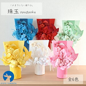 u aG ߂ aCeA RpNg v[g Mtg N a_ ߂׍H  N  }t (ガ傭) (S6)