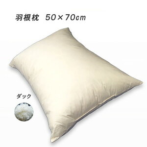 H _bN 50×70cm X[tFU[100% tFU[s[ LTCY ̖炷Aݍނ悤ȉHі ґȃTCYŁASn悳{