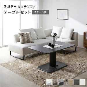 R[i[ JE`\t@ e[u  Zbg 2.5l|\t@{JE`\t@FAbVzCg  X`[ r e[u FXg[O[ 嗝Β  AbVzCg̃X`[r