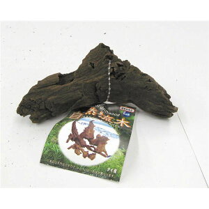 i܂Ƃ߁jR ~jy×10Zbgz (Ϗ܋/pi) R̔ČAʂȑgݍ킹Ŗ R̕~jTCY̗؃Zbgy×10ZbgziϏ܋/pij