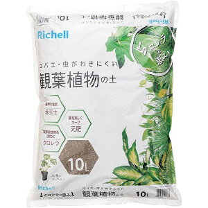 y2Zbgz b`F ŇbR ϗtA̓y 10L y2Zbgz b`F ŇbR ϗtA̓y 10L