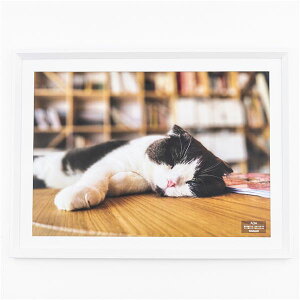 ؐʐ^z A3 F-SW-124-W zCg  F̖ؐt[gpAA3TCY̎ʐ^邽߂̊z ґȕ͋CoÃCeAĂACeł ʐ^