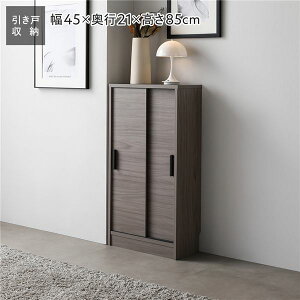 X [I Lrlbg 45×s21cm O[ DFW  I wʂȂ rO[ Lb`[ [Ƌ X [I Lrlbg 45×s21cm O[ DFW 