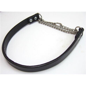 U[`[N #60 ubN (pi)  ɂґAVRfނ̋P ̂߂̎̎ցAubNU[`[N #60 