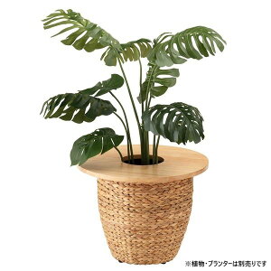 v^[e[u  Pi ~` (ی^ Eh) 50×s50×1.8cm i` ؐ CeApi | v^[̏ɒuŁAȃe[uɕϐg ؐ̉~`v