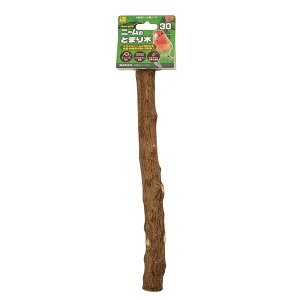 i܂Ƃ߁jj[̂Ƃ܂ 30cmy×3Zbgz (pi/ߋ) ̊yɃj[̖@ VRj[̃p[`ň̐Sn悢Ƃ܂؂ NƗVѐSޒpi̐V 30cm