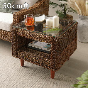 TChe[u Ghe[u R[i[e[u ^ e  XNGA^Cv 50cm p AoJ Rf rg CeAƋ ~je[u R̉AAoJfނ̃X