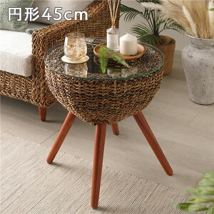 TChe[u Ghe[u R[i[e[u ^ e  T[N^Cv ~` (ی^ Eh) 45cm AoJ Rf rg CeAƋ ~je[u R͂̕