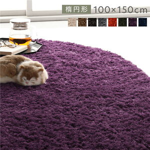 O }bg O~ R100×150cm ȉ~` (ی^ Eh) p[v 􂦂 EHbVu ~ߕt y zbgJ[ybg ʔNgp ܂肽݉  1NKȐ􂦂VM[O 