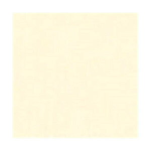 悢J[ 4c100 ʂ l؂TCY100J[y[p[ LȐFʂŐSʂA炩ȕ lXȃV[Ŋ􂵁ANGCeBuȕ\T|[g 