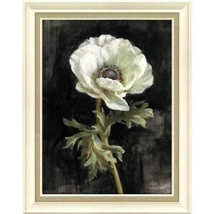 [p[ _tCEiC GelH A[gt[ uAll ubNv  _[NȖ͈ԁXʂAWFHA[gt[wubNAllx 