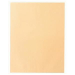 t rbO1 741 Ntg 100 e ^ ŁAŉtBA}ʂ [ \ȓ啕 piƖpɍœK Ntgfނōo 100ŒԎg 