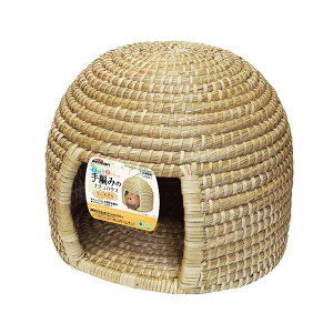 ҂݂̃i`nEX ~j (pi) R̍ŐSn悭bNX ҂݂̃i`~jnEXŁAS S ėVׂ SɃKWKWłVRgp