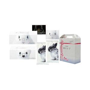 qlsA lsA@ZuMtg WIDE5 B1074620 ґȑ蕨 5{L_炩͂@ZuMtg ґȎgSnŁASn悢K͂܂