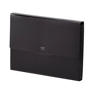 i܂Ƃ߁j qguNGXg shLgt@C A4 13|Pbg  G5800-24 1 y×10Zbgz A4TCY̕sȃhLg𐮗邽߂13|PbgtFt@CA10