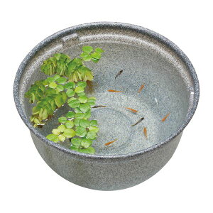 _JC _Ĵ߂̎甫 ݂370 iϏ܋pi^pij _J̔yނ߂̋Ɏ _Jp_CX3700F̒ŋP_Ĵ߂̎̏Z