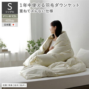 ダウンパワー400 シングルサイズ 掛け布団 羽毛」の人気商品一覧 