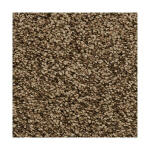 Xy[X O J[ybg WFCh uE 190×290cm  lC̃rOpOJ[ybg ؂ȃWFChuEJ[ł؂₩ɍʂALXTCY190×290cm s