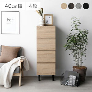 `FXg ^X Lrlbg X 4i 40cm i` e ^  [  X`[ r SiXCh[t ّfMIX qlgi X^CbVȃfUCŎ[͔