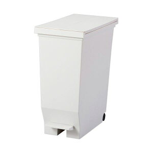 AXx GoJy_y[ 30L zCg A630692 1  J30bgeʂ̃y_S~AŎg₷zCgJ[̐VfUC g蔲Q̃GoJ